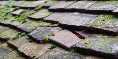 Caldy roof repair costs